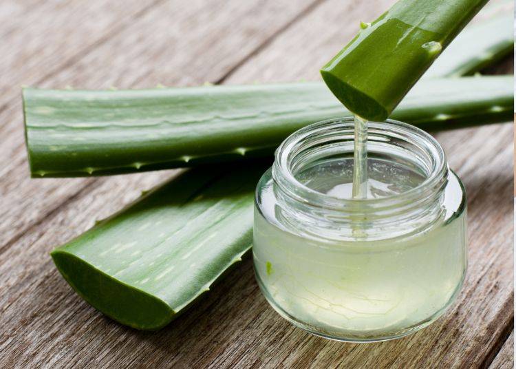 Can Aloe Vera Help Your Eczema?