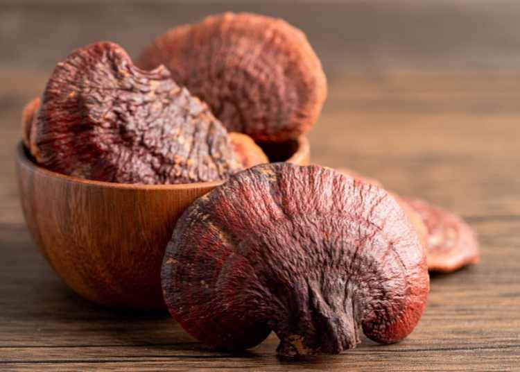 Why Functional Mushrooms Are the Next Big Thing