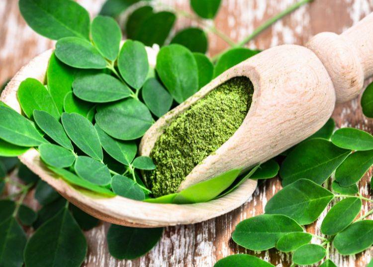 Moringa: The Rising Star of Superfoods