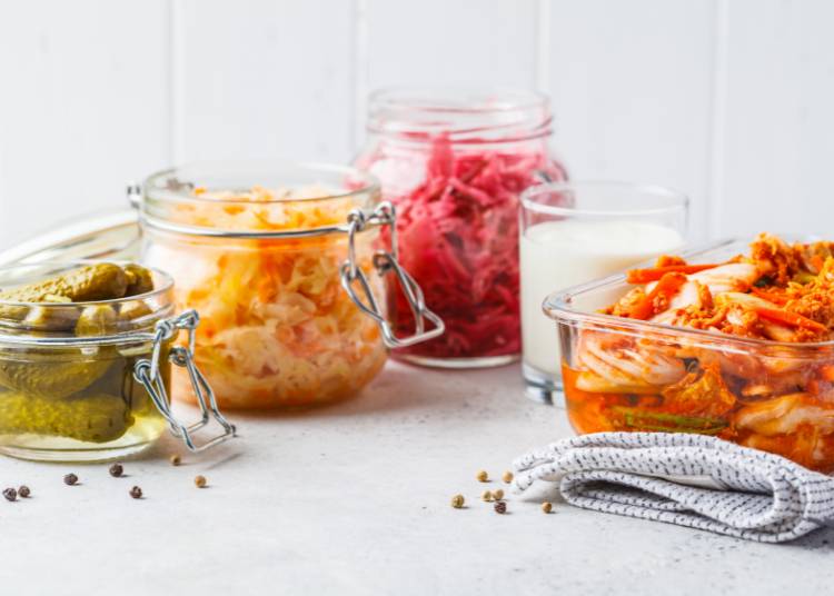 What Foods are High in Probiotics?