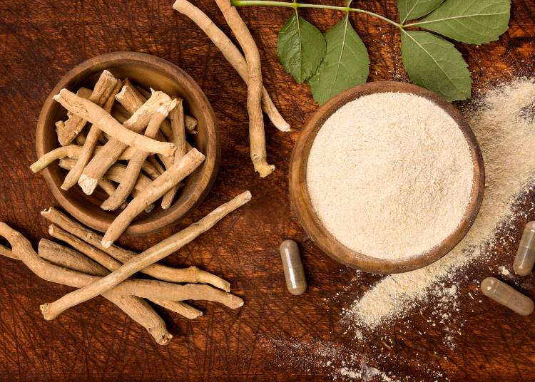 Adaptogens and Ashwagandha: Nature’s Support for Stress and Balance