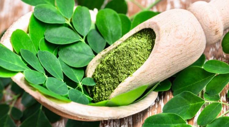 Moringa: The Rising Star of Superfoods
