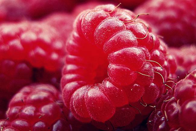 Foods to Prevent Constipation