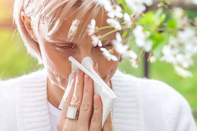 Natural Remedies for Hay Fever