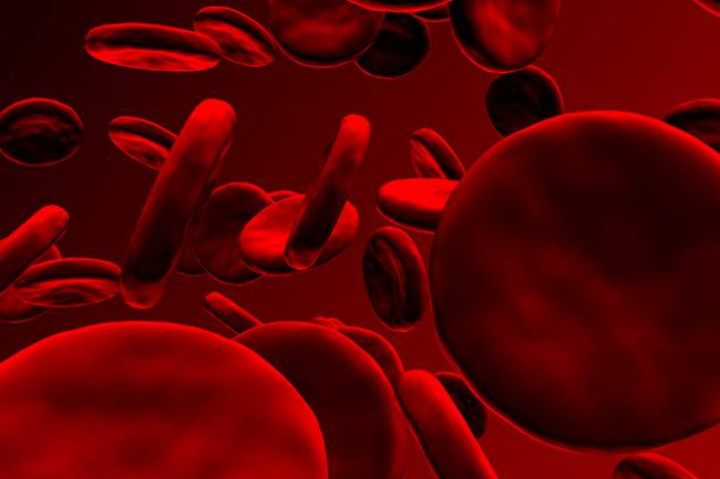 How to Boost Your Circulation