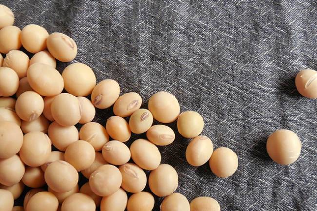 Benefits of Soya Isoflavones for Menopause Symptoms