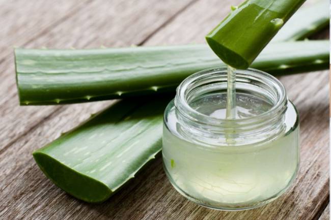Can Aloe Vera Help Your Eczema?