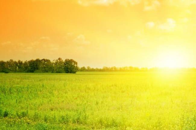 Health Benefits of Vitamin D