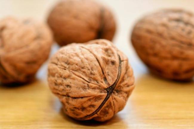 Health Benefits of Zinc