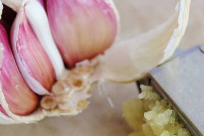 Health Benefits of Garlic