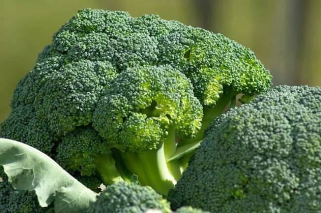 Health Benefits of Alpha Lipoic Acid