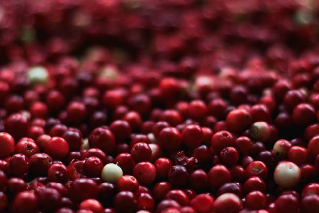Health Benefits of Cranberries