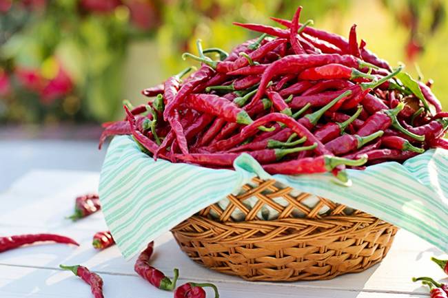 Health Benefits of Capsicum / Capsaicin