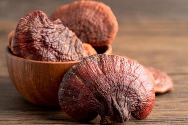 Why Functional Mushrooms Are the Next Big Thing