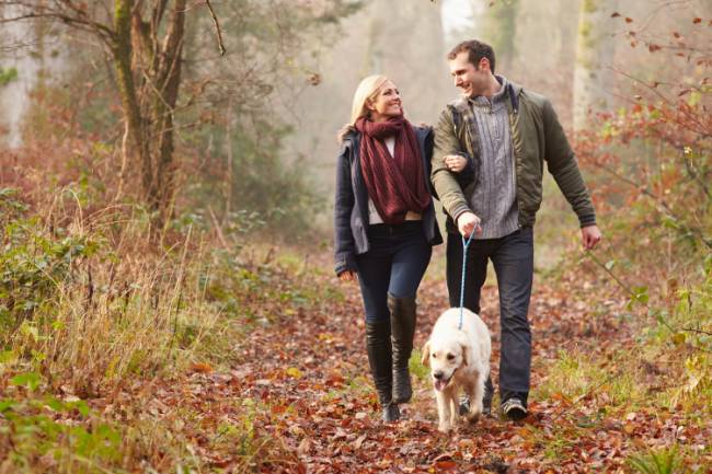 Embracing Autumn: Natural Ways to Support Wellbeing as the Seasons Change