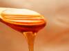 The Health Benefits of  Royal Jelly