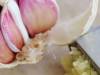 Health Benefits of Garlic