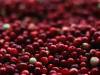 Health Benefits of Cranberries