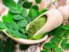 Moringa: The Rising Star of Superfoods